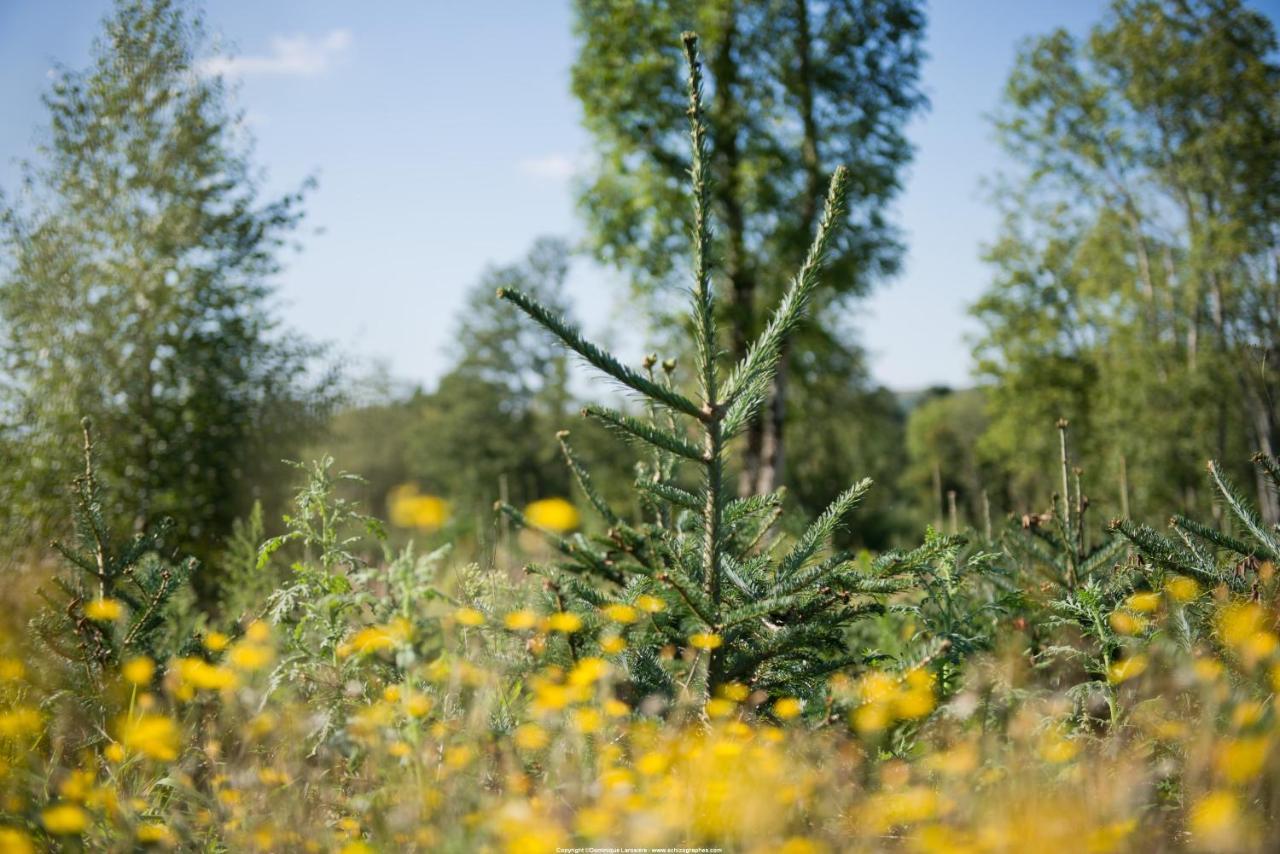 Le Relais Des Lacs Bourgogne Morvan Planchez Eksteriør bilde